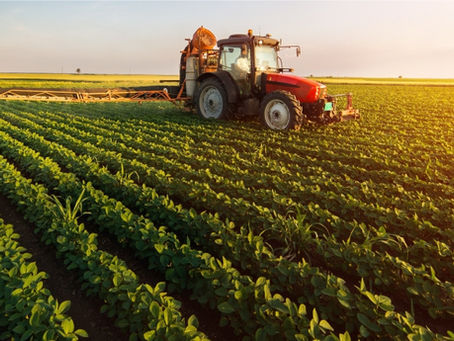Por que o agronegócio brasileiro é tão importante? Confira