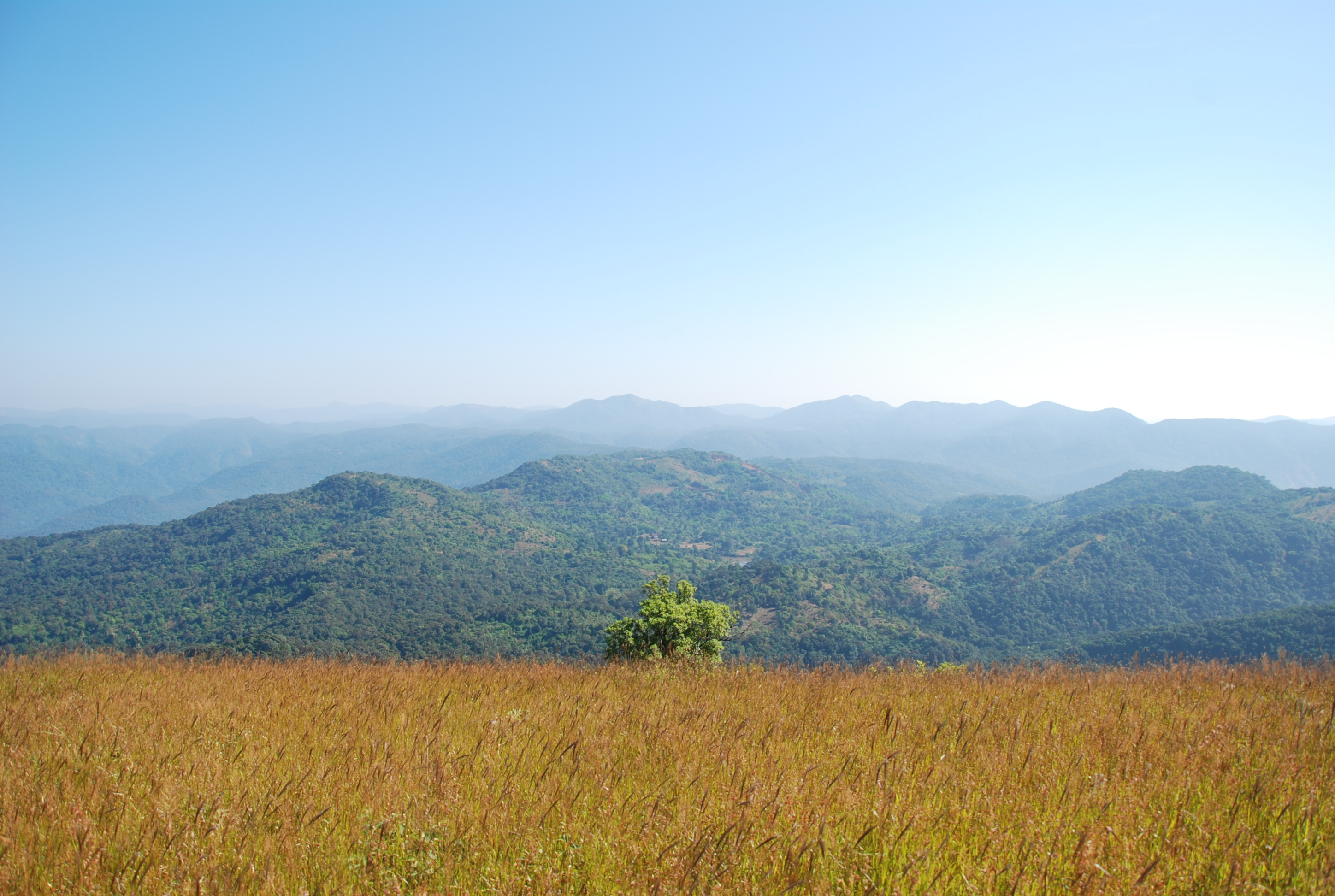 Trek to Ravon Dongor