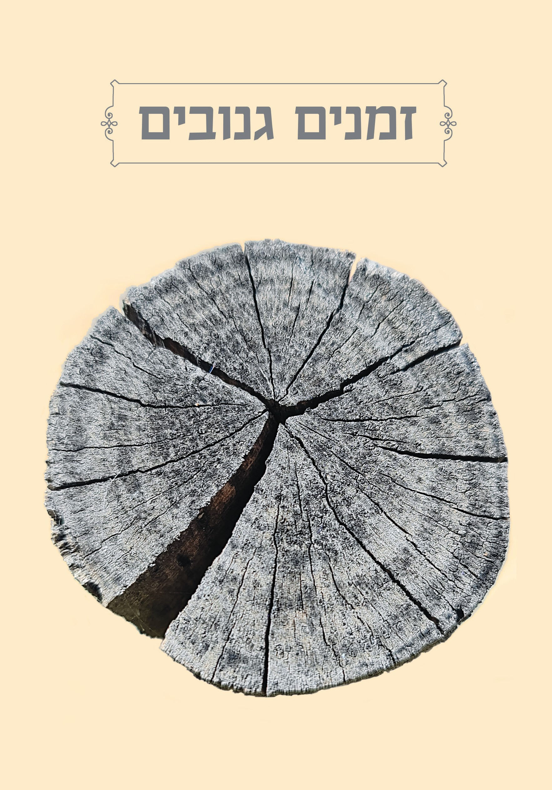 זמנים גנובים |2023