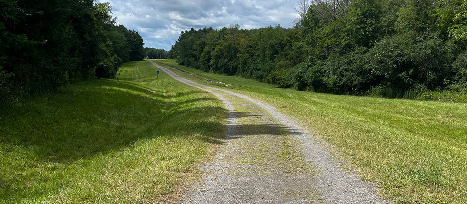 The Trail of Hidden Treasures