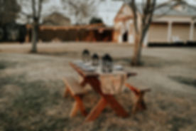 Garden Dinner Table