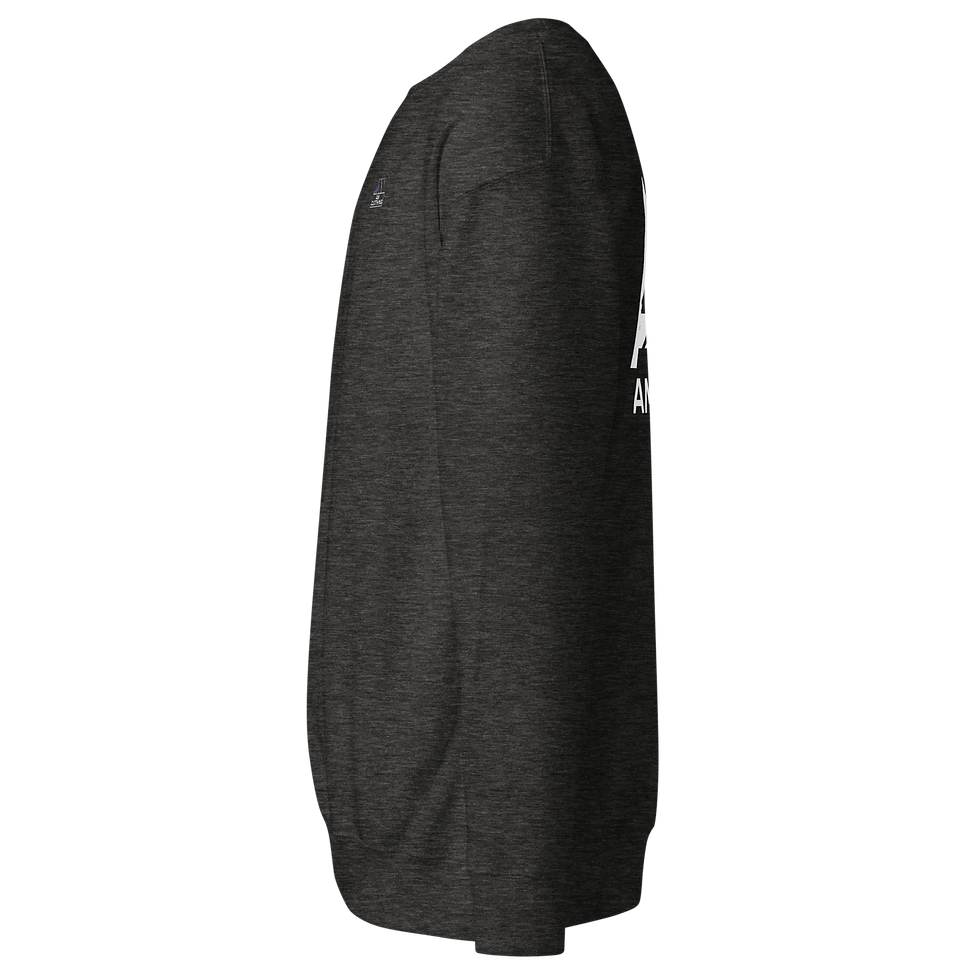 Thumbnail: AM Clothing E-Sports Sweatshirt