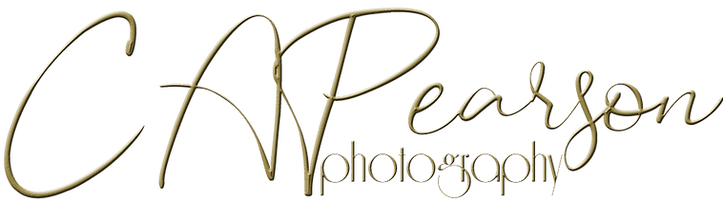 Vancouver BC Canada Landscape Photographers Portfolios Pets Portrait Wild Life Photography
Unveiling the Unseen: Capturing Nature Landscapes for portfolios, Wildlife Photography of Animals. Eyes Through the Lens of Enthusiastic Photographers.