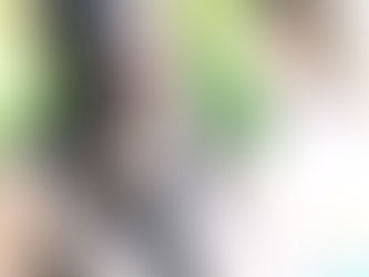 Optimizing Your Blog for Superior SEO