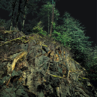 Explore the art of capturing nature with breathtaking Canadian landscape photography. Discover how capturing nature can evoke personal experiences.
