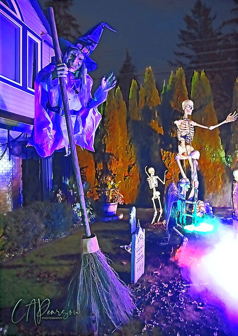 At the core of photography—especially during international events and individual portraits—is storytelling. Each image encapsulates a narrative rich with context, emotion, and character. This invites viewers to connect with experiences beyond their own reality.
Photographers enhance this narrative quality by focusing on evocative details. Candid shots that capture genuine reactions or peaceful moments of reflection add depth to the story being told. As enthusiastic storytellers, photographers provide a unique perspective that reveals the intricacies of human emotion in every frame.