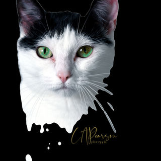 Discover how pet photos can be works of art with expert tips on settings, lighting, and composition. Unleash creativity in pet photography today!