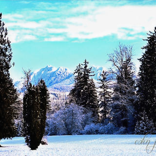 Explore the beauty of Canadian landscapes, a favorite among photographers. Discover why Canadian landscapes are very accessible yet challenging.