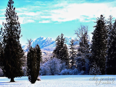 Explore the beauty of Canadian landscapes, a favorite among photographers. Discover why Canadian landscapes are very accessible yet challenging.