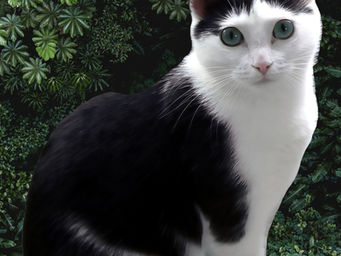 Celebrate Your Photography