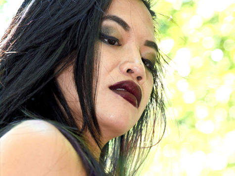 The Blog Administrator