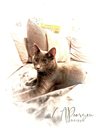 In photography, capturing moments is a celebration of both the subject and the stories that surround them. International events and individual portraits offer photographers the chance to tell rich stories, convey emotions, and immortalize fleeting moments. Every click of the shutter captures a piece of the human experience, filled with vibrancy and often, untold tales.