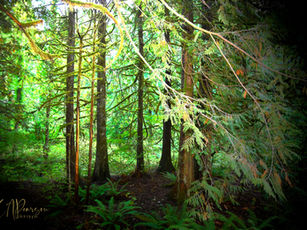 How will your photography change? What’s that one photo and one story that means a lot to you? Check out some of our moments and follow us on our blog forum.