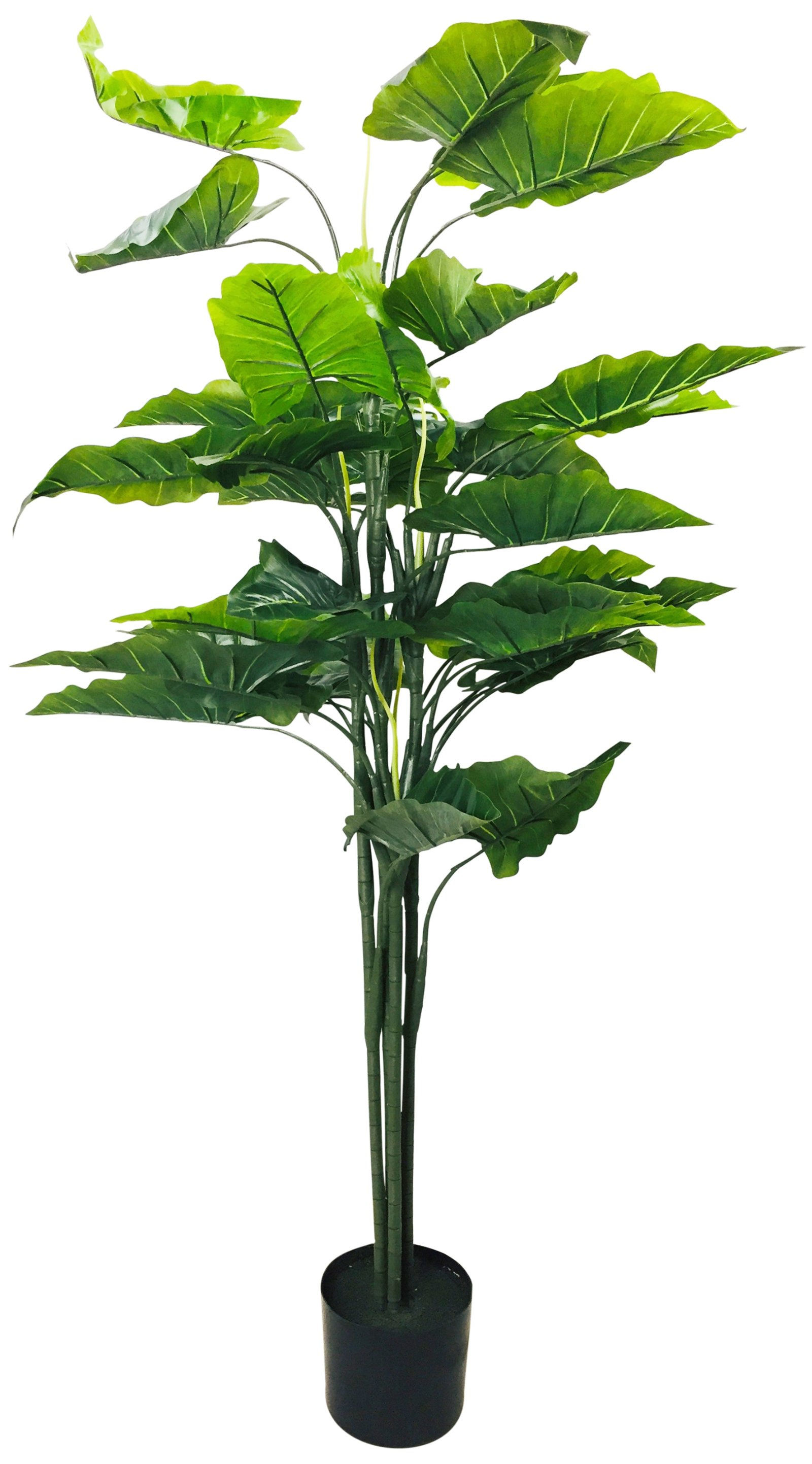 Artificial Taro Tree 145cm
