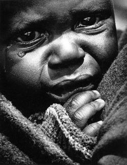 image_search_1692119132887