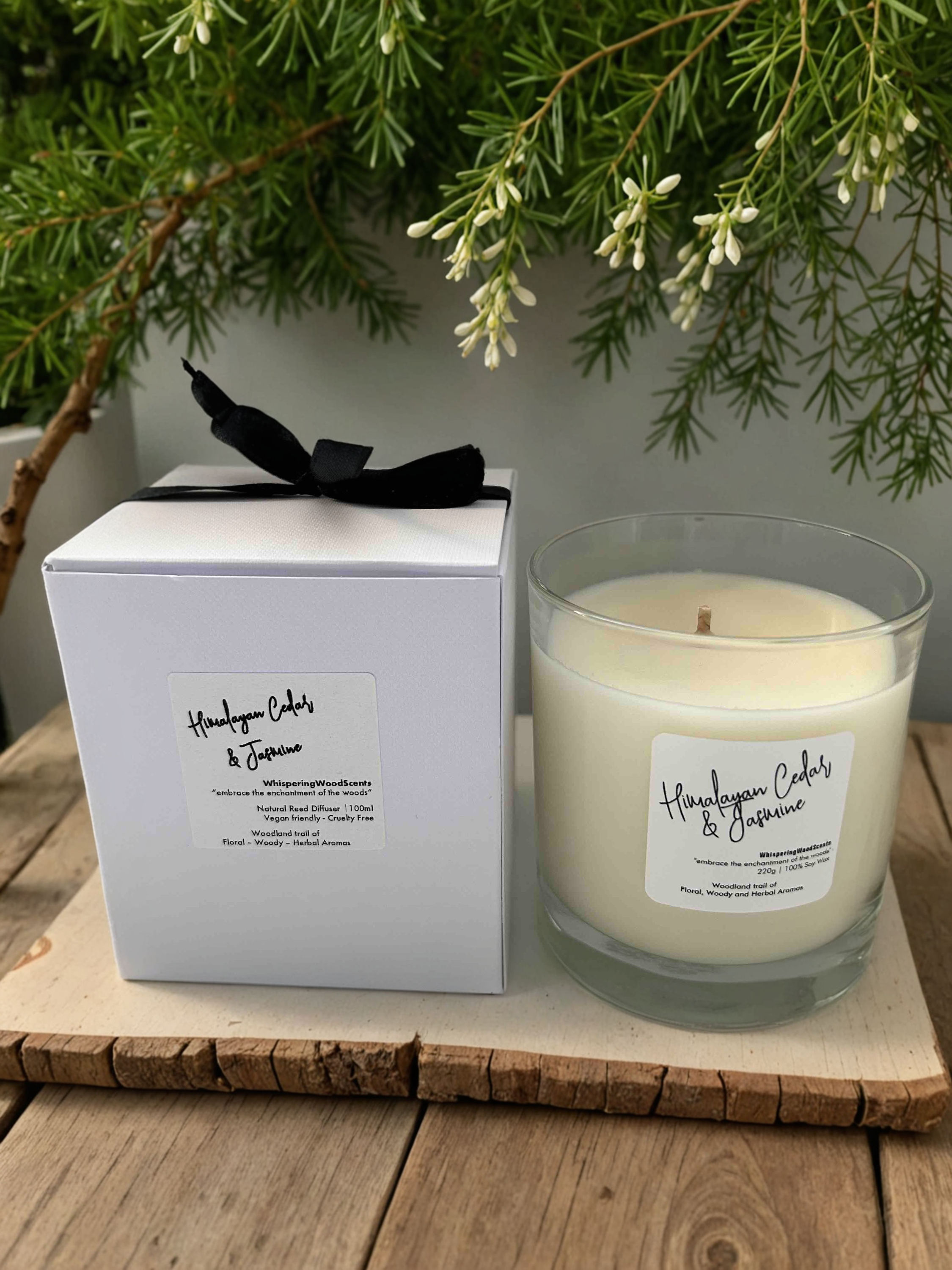 Himalayan Cedar & Jasmine