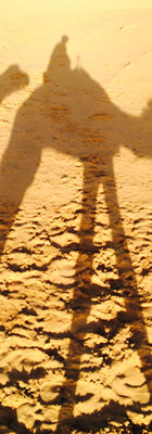 IMG_2531.jpeg