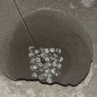 Sea Turtle_Nest Relocated_KUstler.jpg