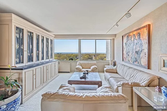 Mid century Den & living area