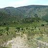 Montaña.jpeg