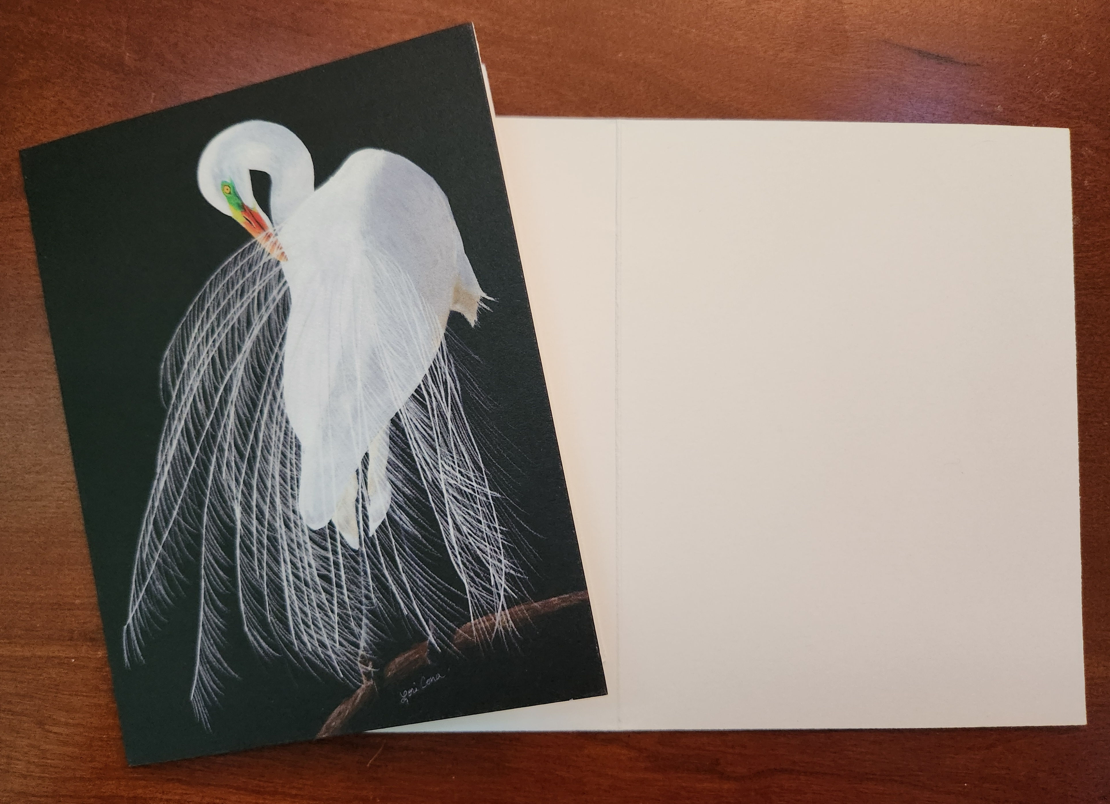 Egret 2 Notecards