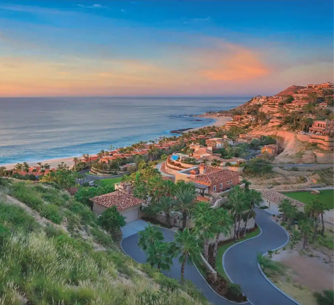 Social Media Management