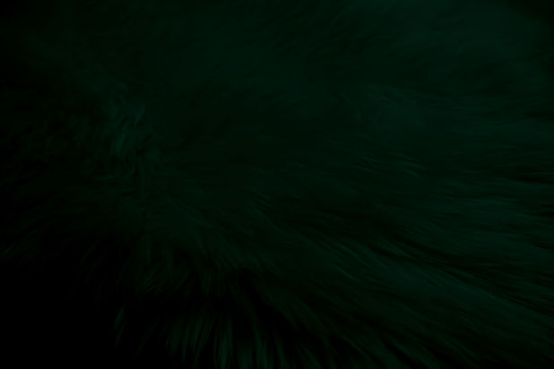 green-clean-wool-texture-background-light-natural-sheep-wool-blanket-seamless-cotton-textu