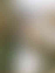 Bride and groom embrace by a lakeshore with mountain views during romantic first look wedding photos.