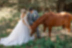 Bride and groom in forest petting a brown horse, bride in white gown, groom in gray suit. Sunlight filters through trees. Peaceful mood. - Airbnb wedding venues in Alberta