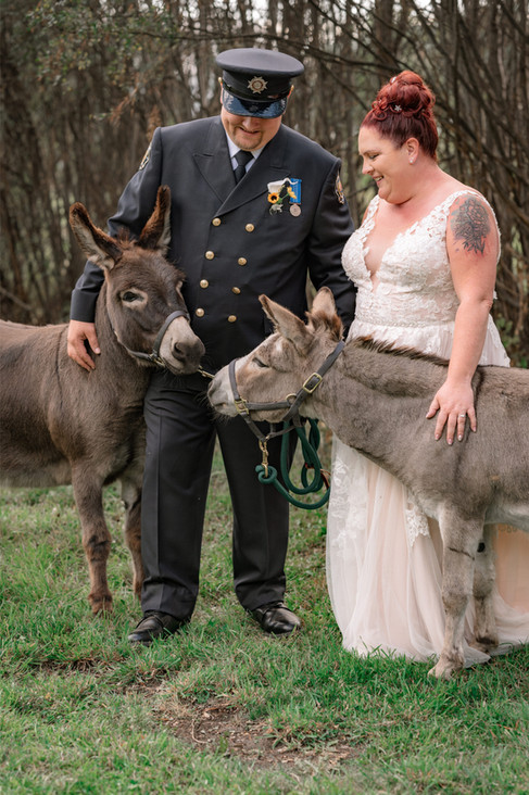 Bride and groom smiling while petting donkeys in a rustic outdoor setting at Calgary small wedding venues