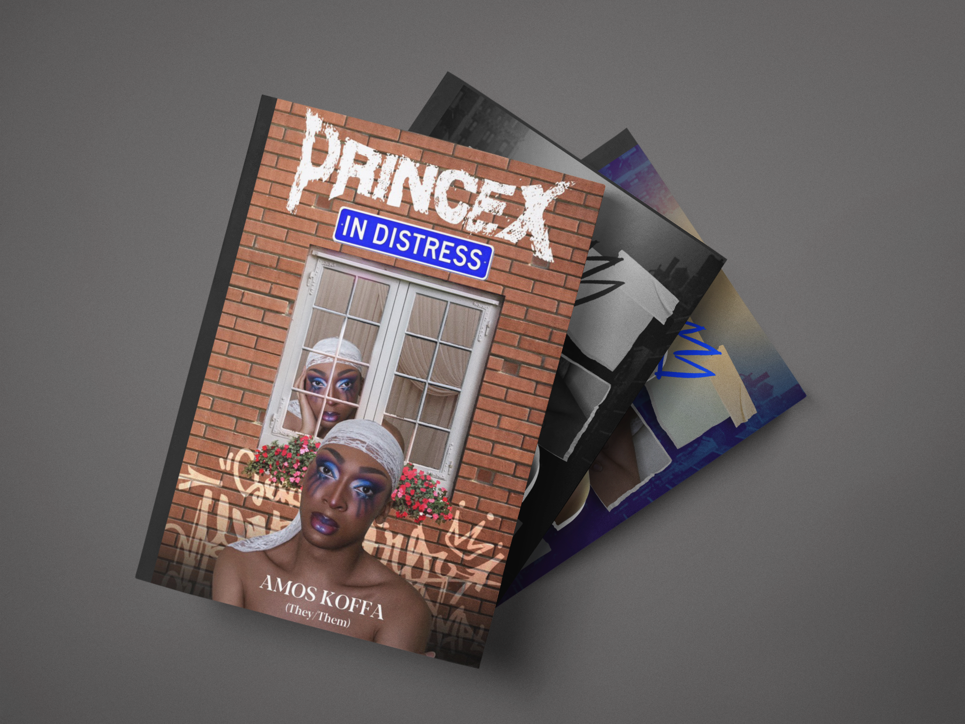 Princex in Distress: Physical Copy