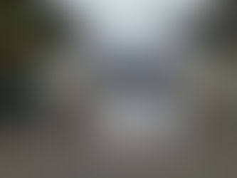 World Wellness Day 🌎