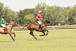 Cabalgata3