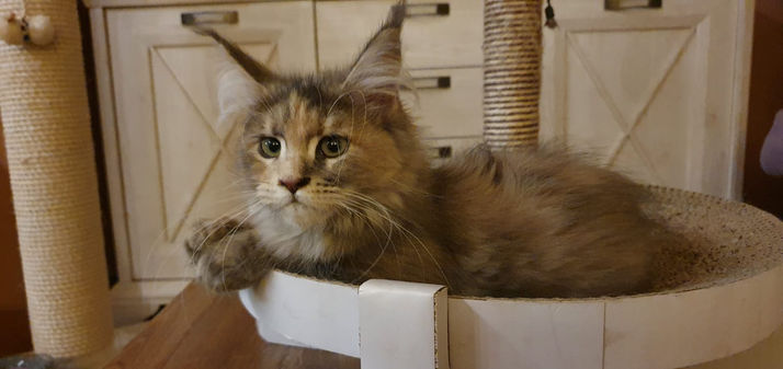 WhatsApp Image 2023-03-24 at 15.24.47.jpeg