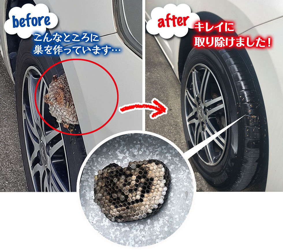 便利屋和歌山　和歌山市　ハチの巣駆除　2件目