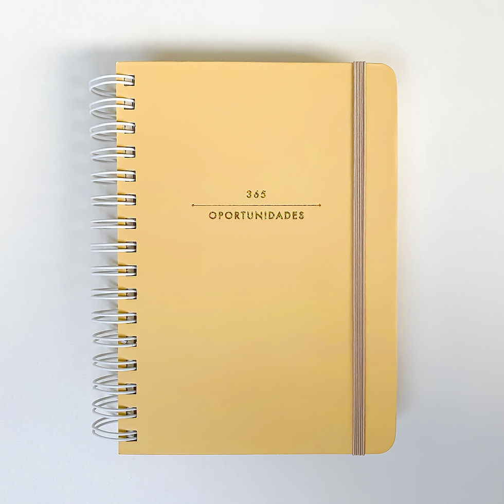 Miniatura: 365 Oportunidades - Planner Diário