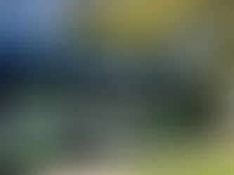 EMTA Purchases Nine New Compressed Natural Gas Buses