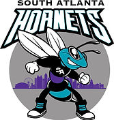 SOUTH_ATL_HORNETS_MASCOT.jpeg
