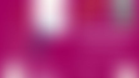 La « LUNCH BOX du CAPPA »