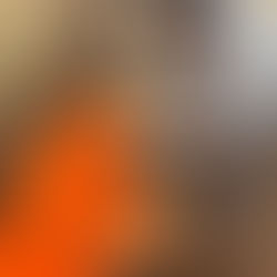 Une haie de 170 arbres plantée à Montlosier