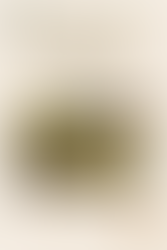 Exposition de Maly, les 8 et 9 novembre 2025