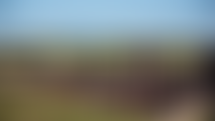 Appel à candidature par la commune de Corent