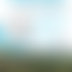 Un atelier pour créer une carte illustrée du Parc des Volcans d'Auvergne