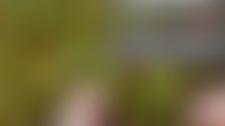 Guide des animations d'automne, avec le Pass'ados