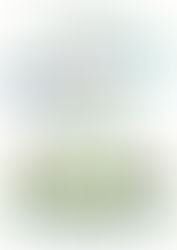 Atelier sur le Système d'information sur les Armes enregistrement des armes, le 12 avril