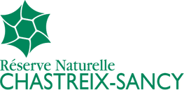 RNF_CHASTREIX-SANCY_B_edited.png