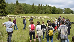Journée pour la découverte du pastoralisme © SMPNRVA