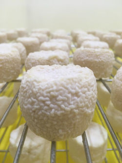 Ferme des Verveine (Petit)