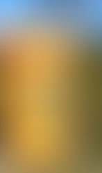 Ramassage supplémentaire des bacs jaunes début juillet 2024