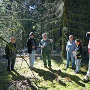 Le Parc naturel régional des Volcans d'Auvergne et l'Office national des forêts partenaires pour préserver les forêts